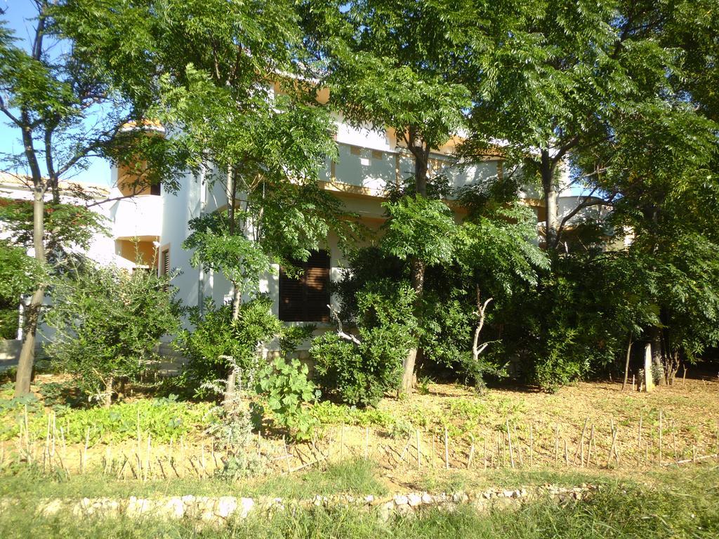 Apartments Kresimir Beauty With Shadow Trees And Parking Place Pag Town Camera foto